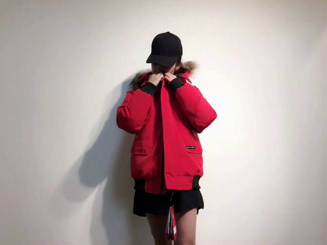 canada goose-008